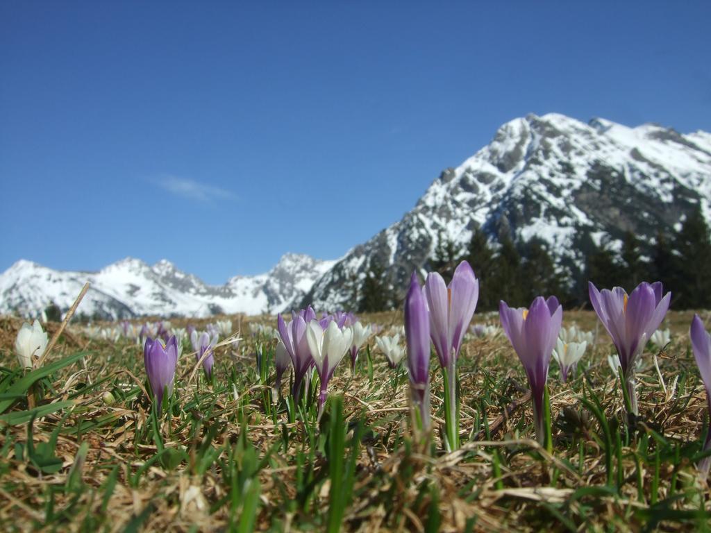 Hotel Alpensonne Riezlern